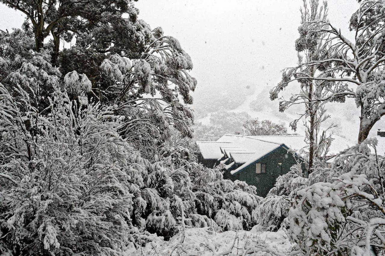 Alpenhorn Villa Thredbo Kültér fotó